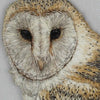 Close-up of embroidered barn owl face in thread painting technique.