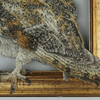 Detail of embroidered owl body and tail overlapping the picture frame.